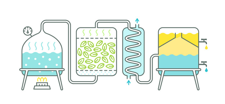 blog by-cosmetics essential oils