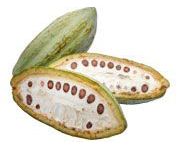 by-cosmetics масло какао