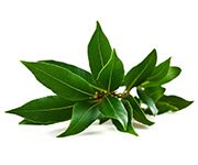 by-cosmetics Cinnamon