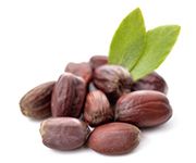 by-cosmetics jojoba oil