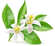 by-cosmetics neroli oil