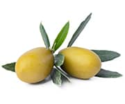 by-cosmetics Squalane